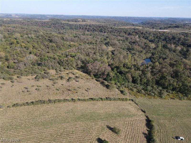 56485 Deep Run Road, Martins Ferry, OH 43935 Photo 31