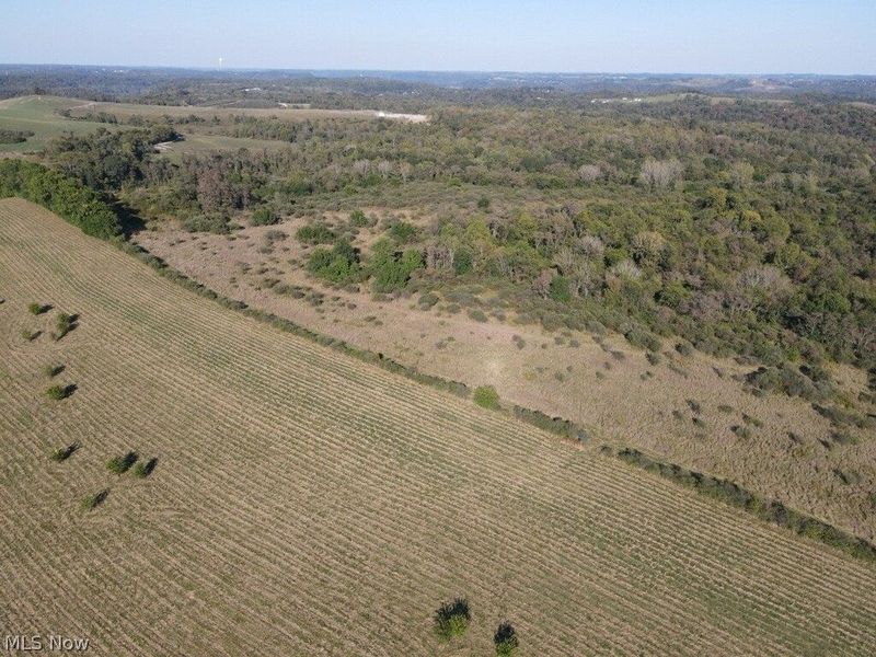 56485 Deep Run Road, Martins Ferry, OH 43935 Photo 32