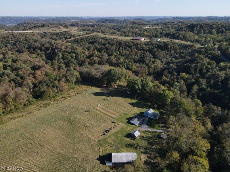 56485 Deep Run Road, Martins Ferry, OH 43935 Photo 33