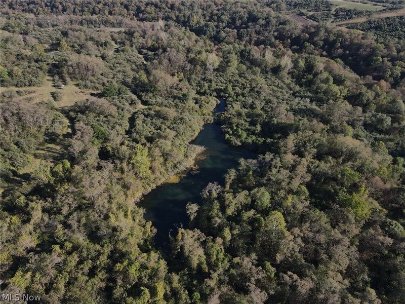 56485 Deep Run Road, Martins Ferry, OH 43935 Photo 37