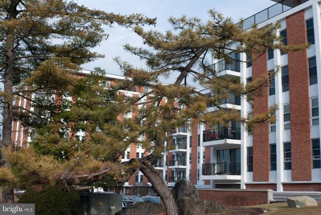 3601 Clarks Lane, Unit 416, Baltimore, MD 21215 Main Photo