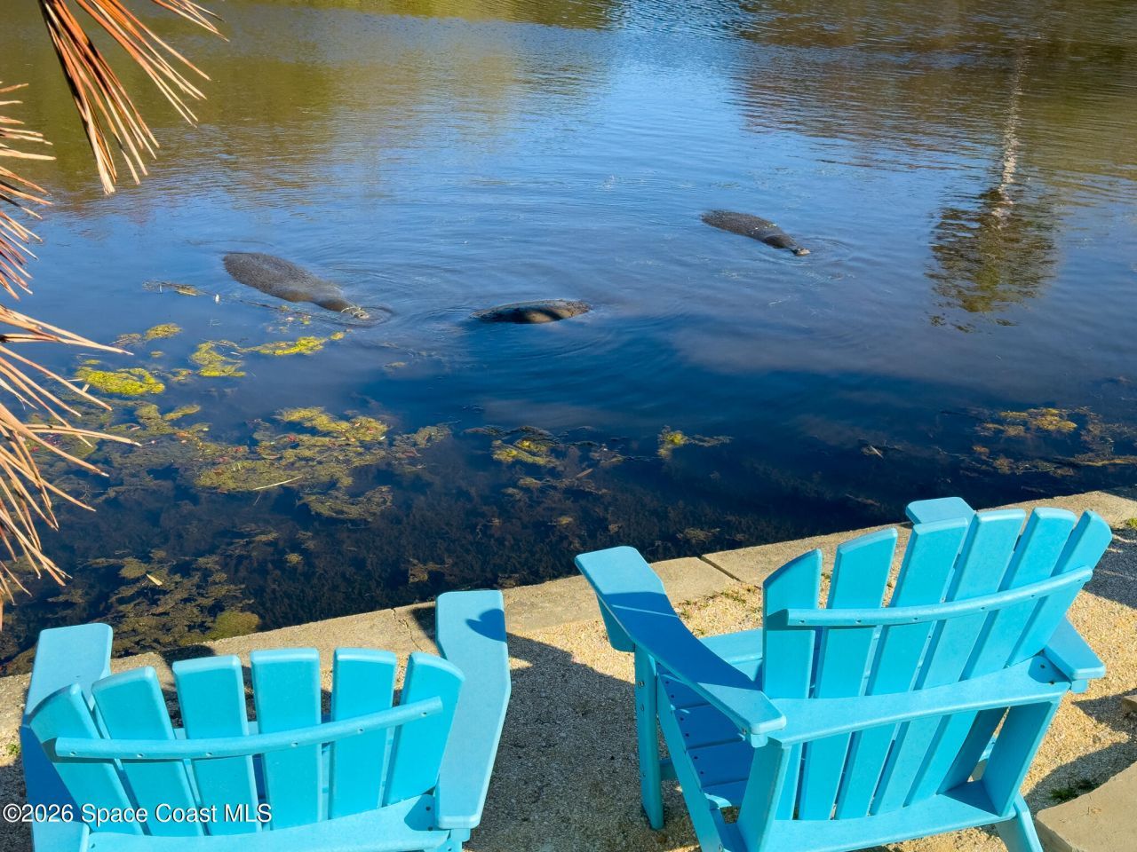 999 Sunswept Road Ne, Palm Bay, FL 32905 Photo