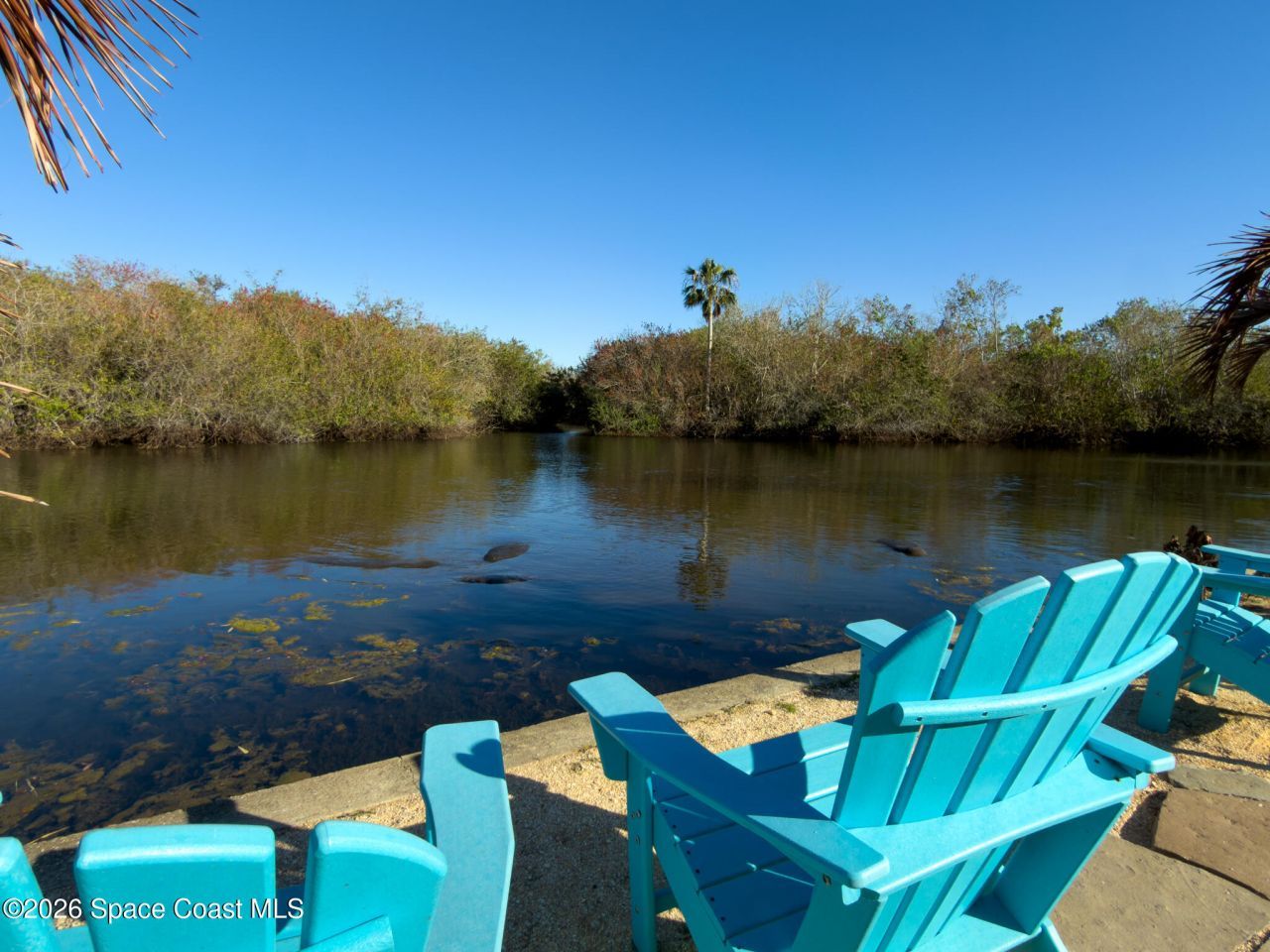 999 Sunswept Road Ne, Palm Bay, FL 32905 Photo