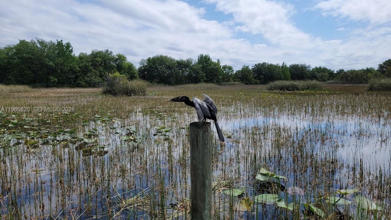 935 NW 203rd Ave, Pembroke Pines, FL 33029 Photo