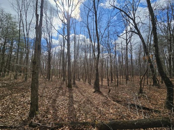 10 Griswold Road, Altamont, TN 37301