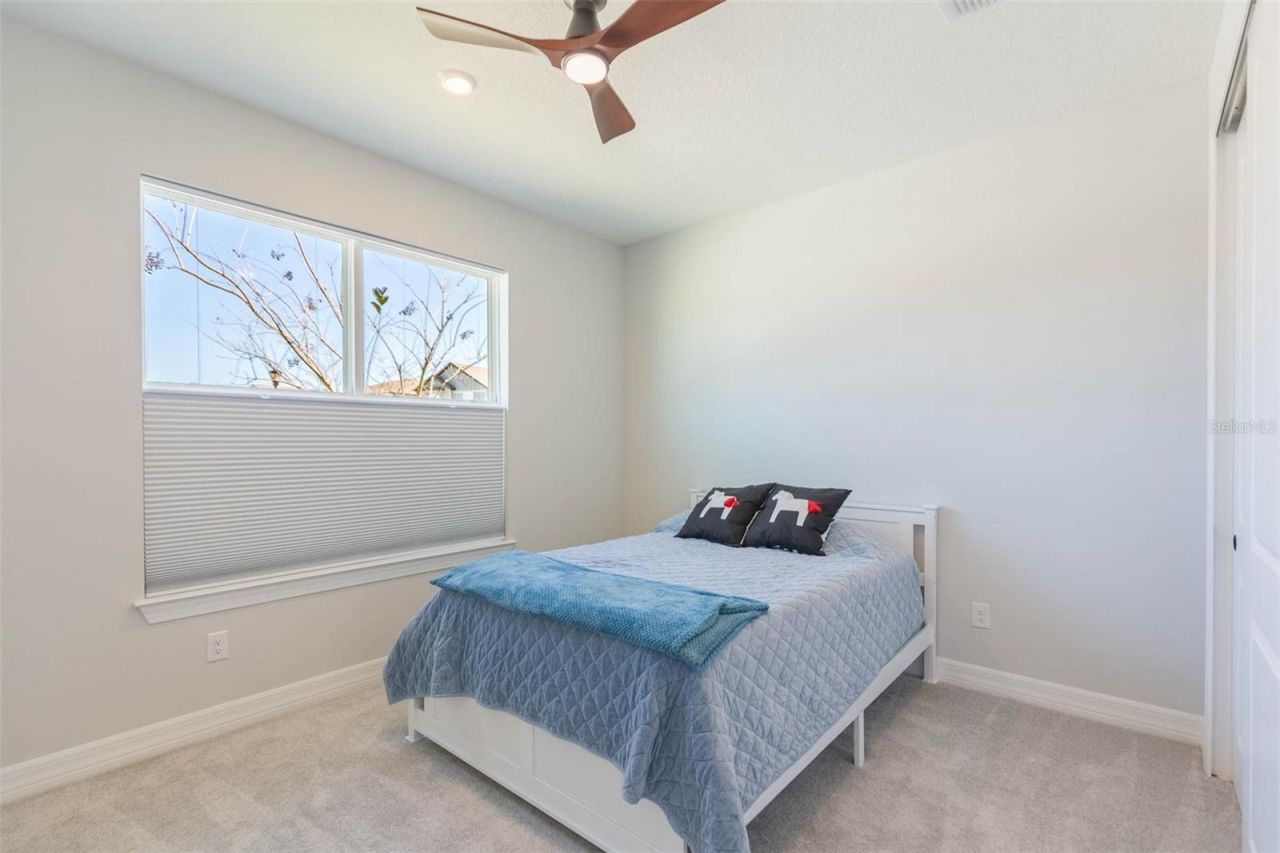 3749 Maple Bay Lane , Land O Lakes, FL 34638 Photo