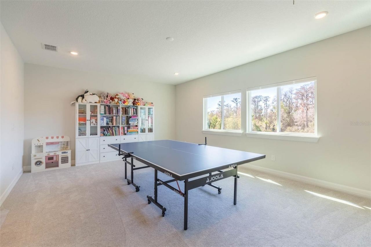 3749 Maple Bay Lane , Land O Lakes, FL 34638 Photo