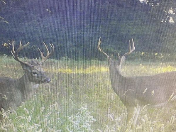 On Peyton Road, Coldwater, MS 38618