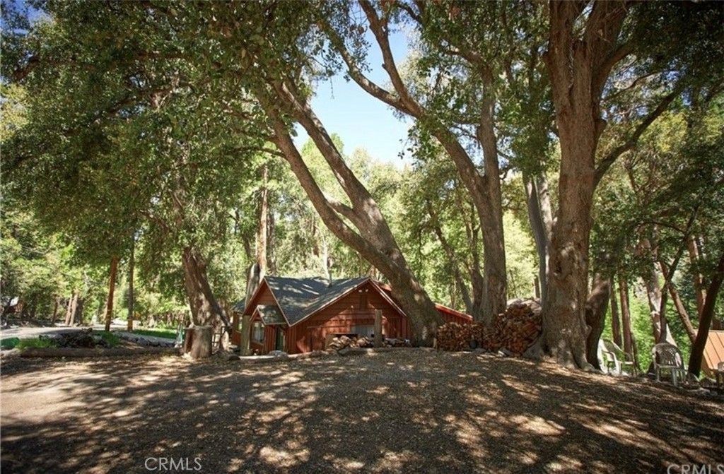 40204 Valley Of The Falls, Forest Falls, CA 92339 Main Photo