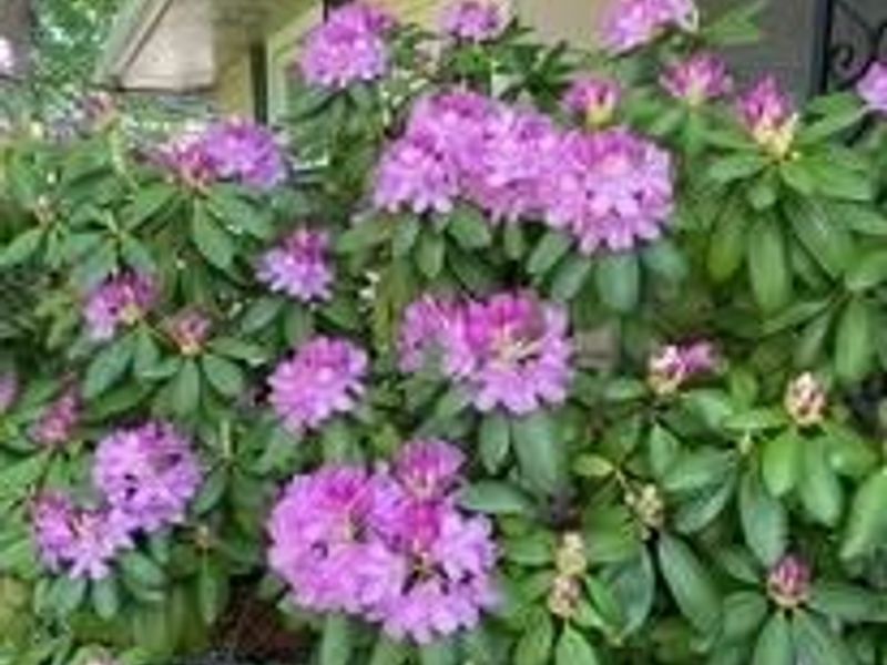 6445 Lake Avenue, Elyria, OH 44035 Photo 30