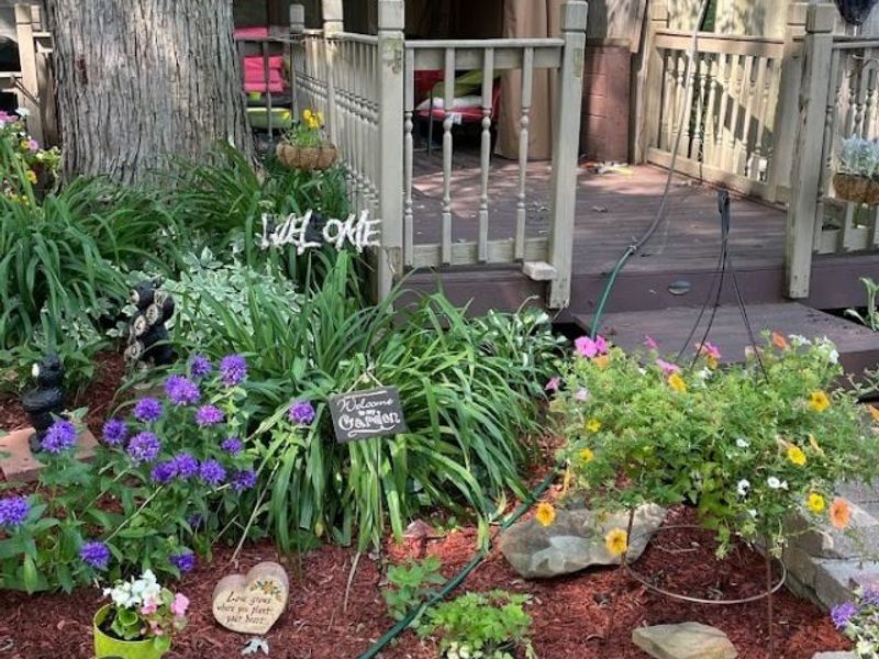 6445 Lake Avenue, Elyria, OH 44035 Photo 35