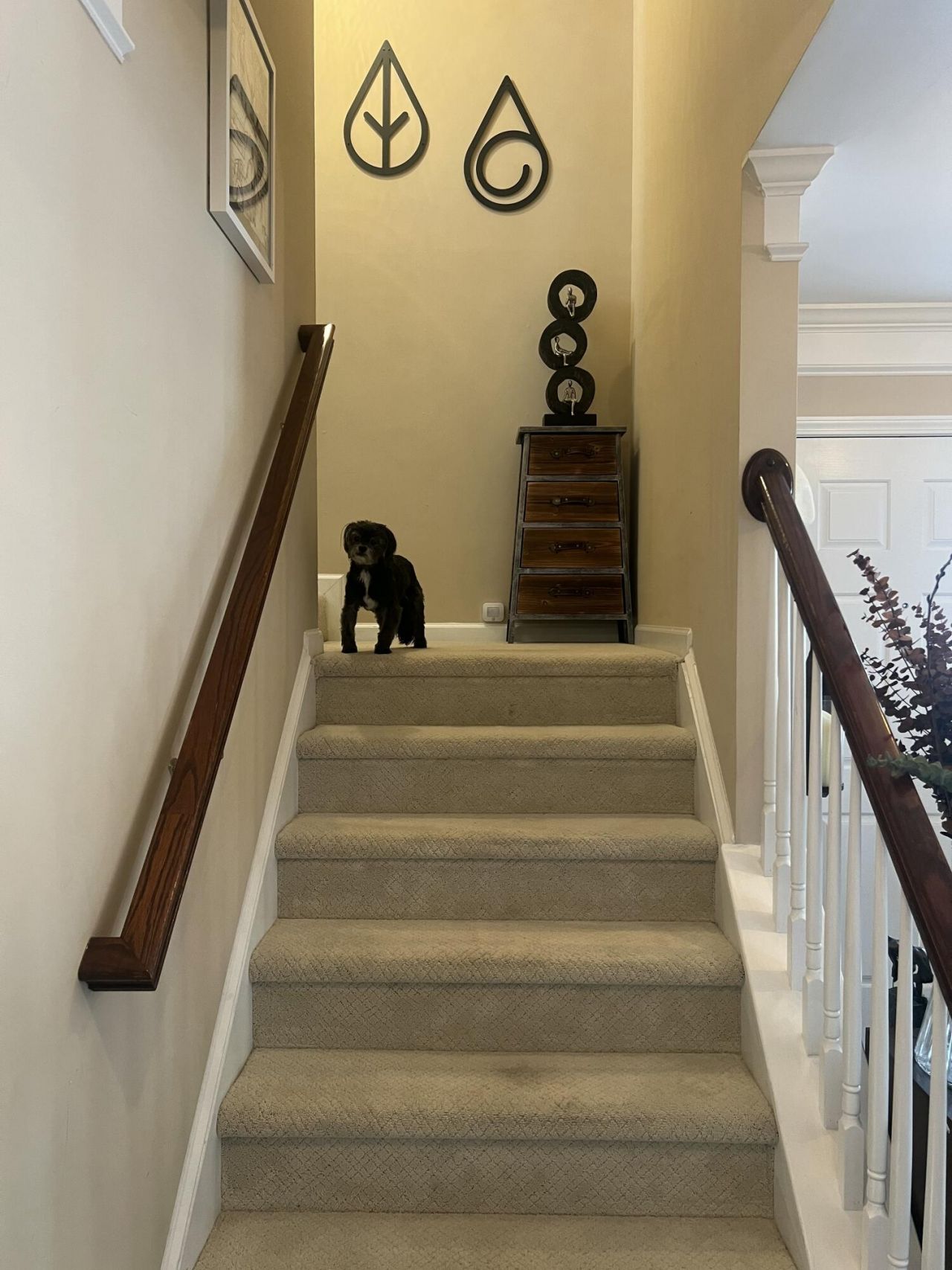 9006 Parlor Drive Photo 12