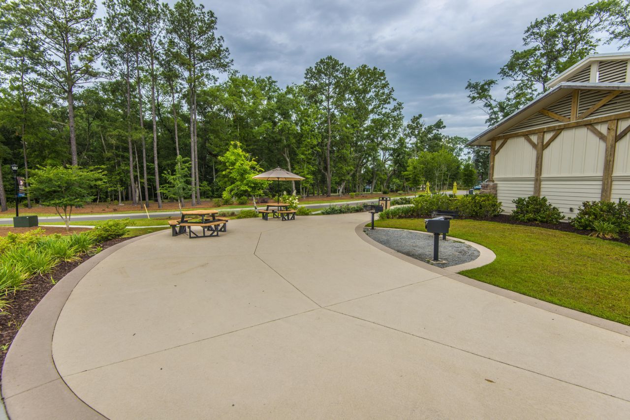 9931 Winged Elm Street Photo 30