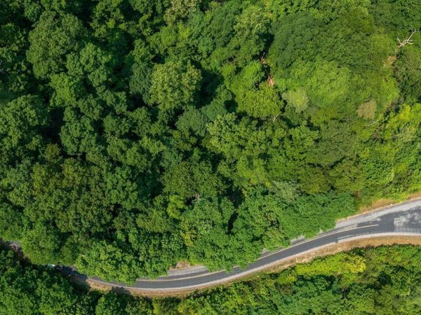 Lot 60W Longhunter Lane, Sevierville, TN 37862