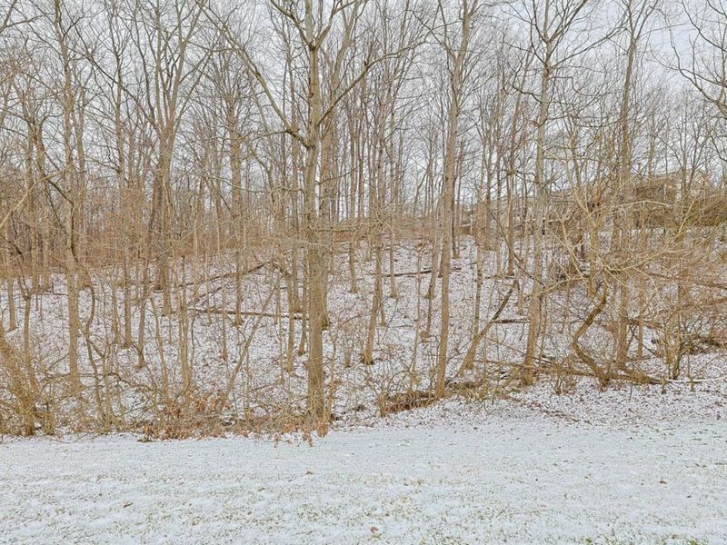 6519 Copperleaf Lane, Cincinnati, OH 45230 Photo 44