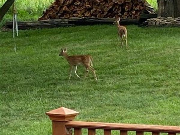 3711 NE Beechwood Drive, Lee's Summit, MO 64064