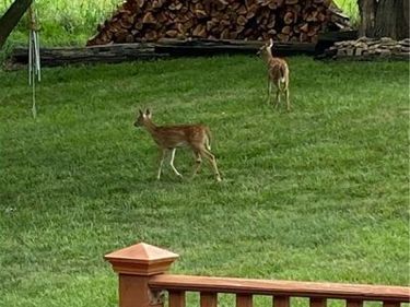 3711 NE Beechwood Drive, Lee's Summit, MO 64064