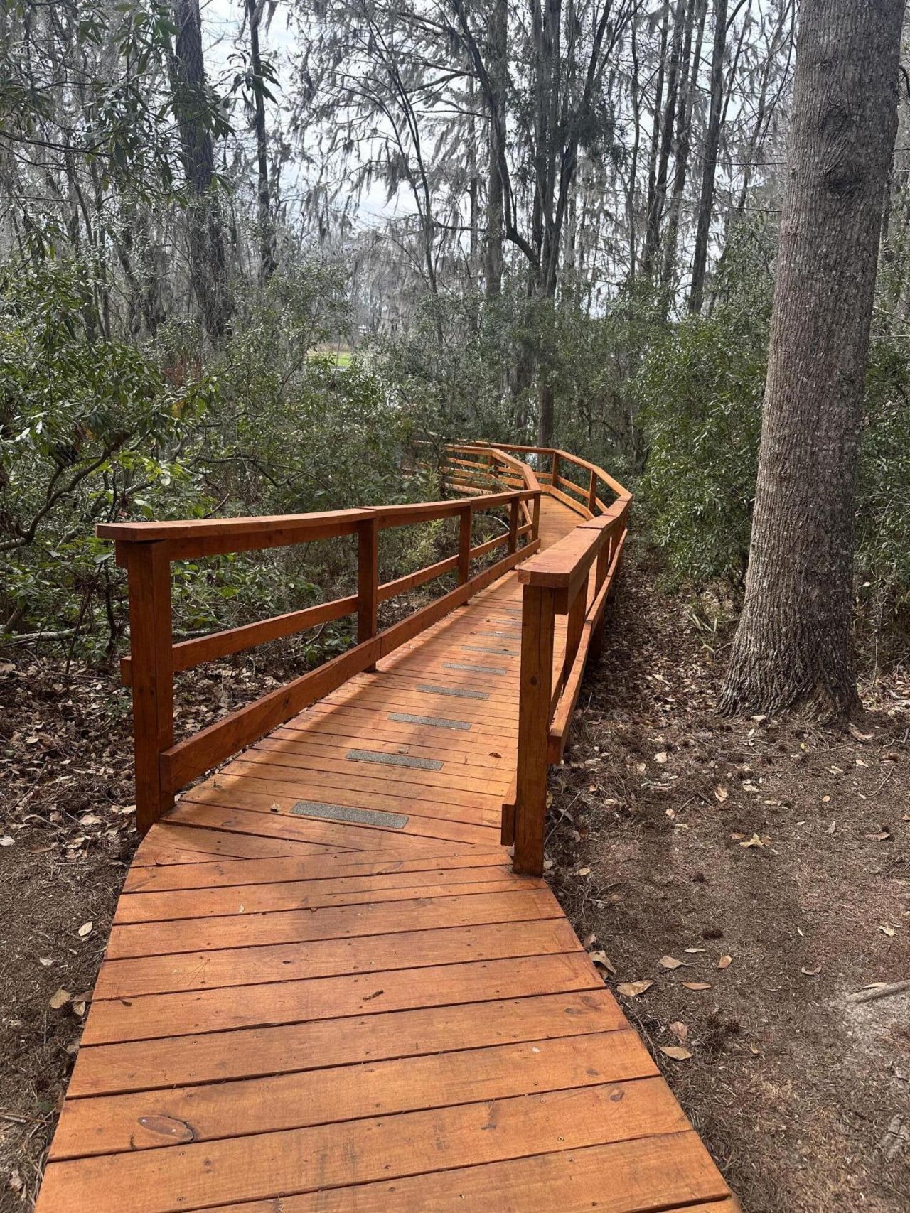 7552 Hawks Circle Photo 43