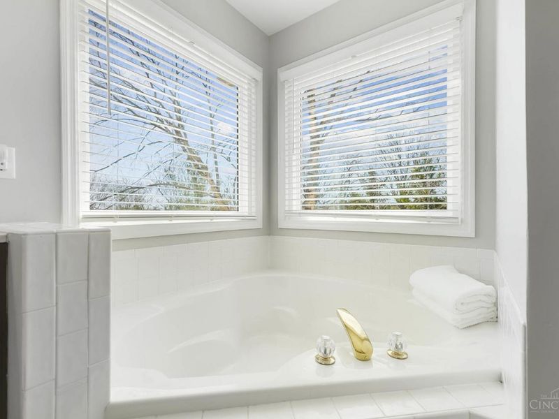 4109 Old Manchester Court, Mason, OH 45040 Photo 43