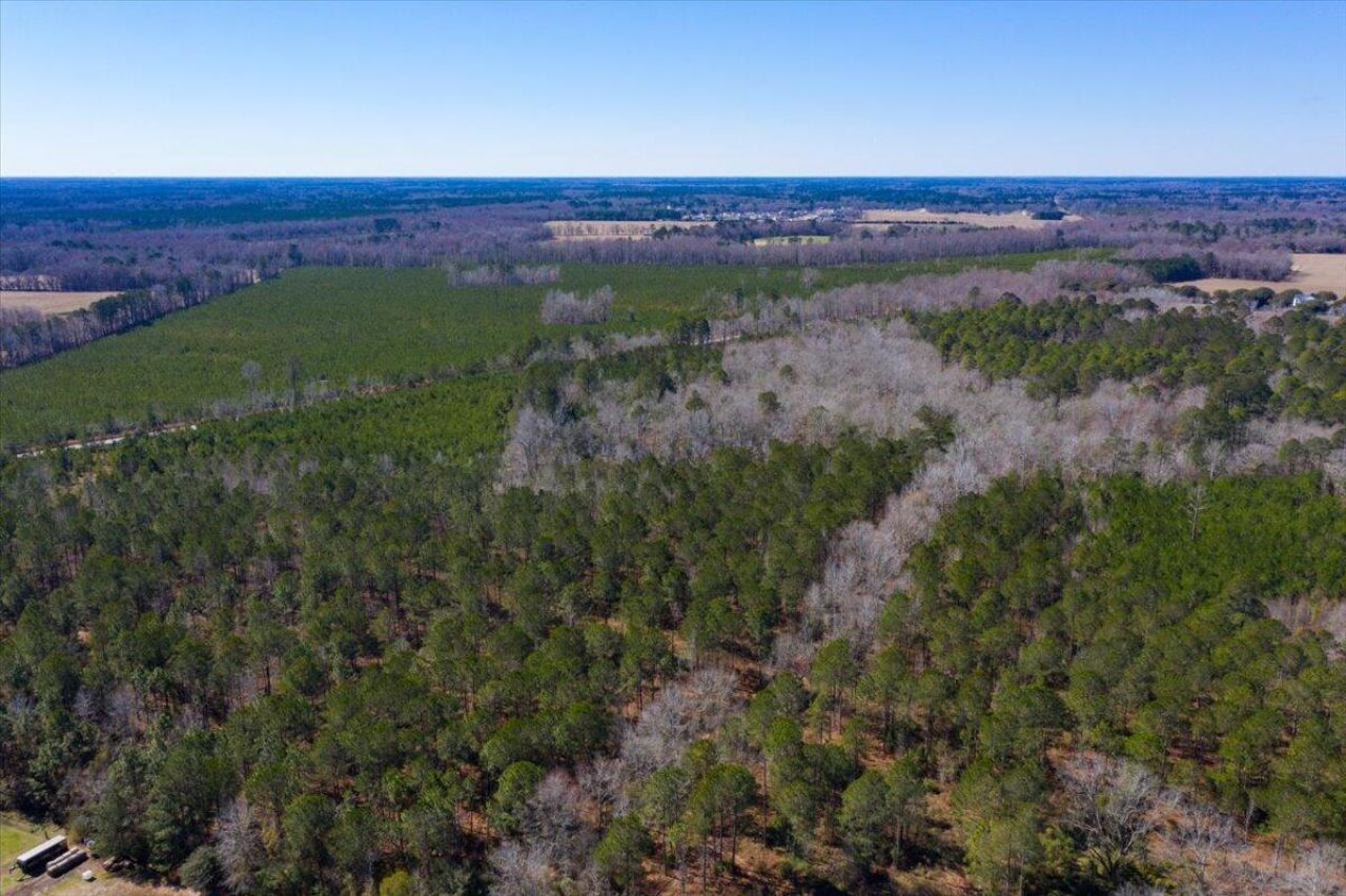 0 Beulah Cuttino Road Photo 10