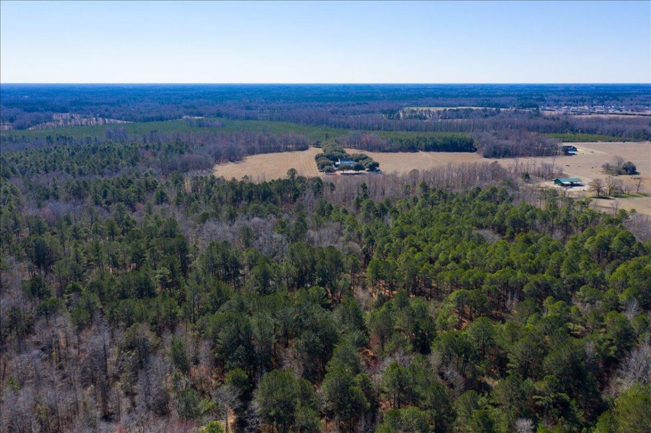 0 Beulah Cuttino Road Photo 16