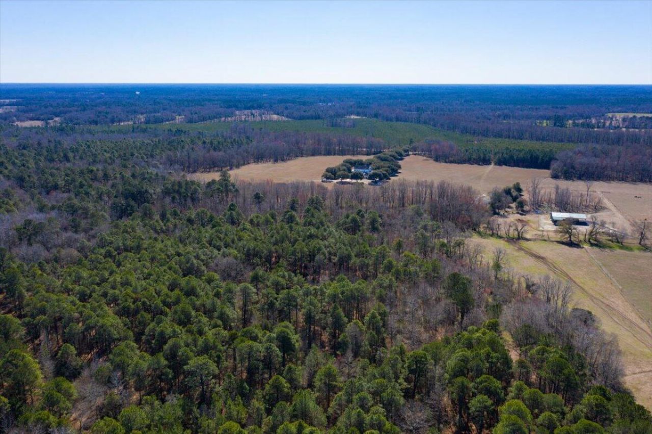 0 Beulah Cuttino Road Photo 17