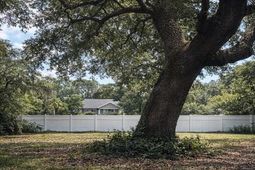 616 Maple Dr. photo 4