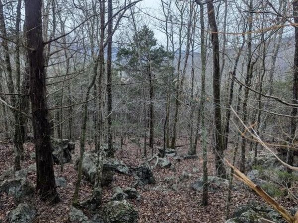 0 Martin Gaines Road, South Pittsburg, TN 37380