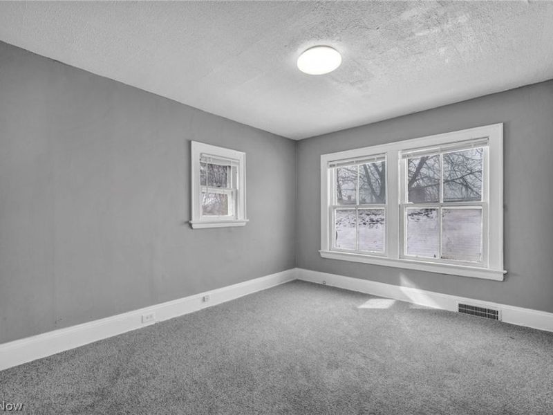 13200 Horner Avenue, Cleveland, OH 44120 Photo 15