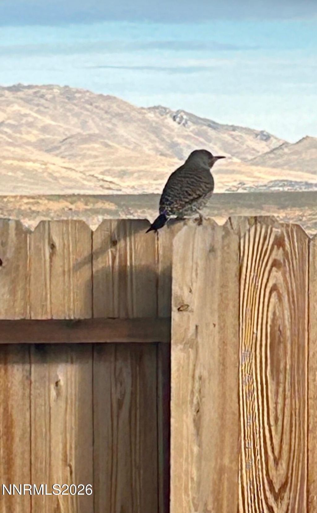 509 Paradise Valley Road, Reno, NV 89506 Photo