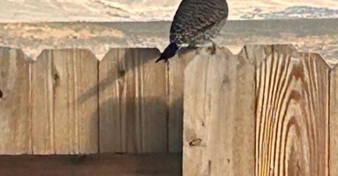 509 Paradise Valley Road, Reno, NV 89506 Photo