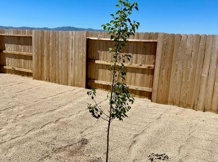 509 Paradise Valley Road, Reno, NV 89506 Photo