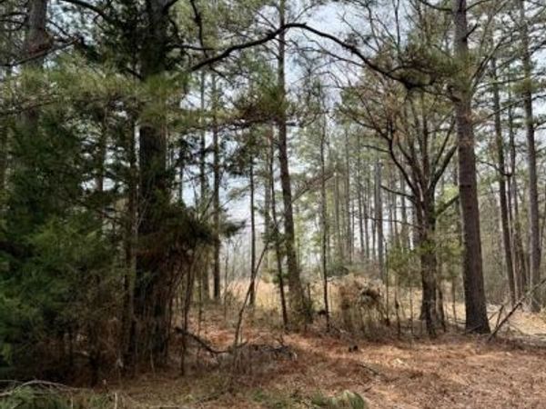 0 Belle Bower Texas Line Road , Logansport, LA 71049