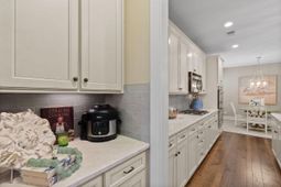 3010 Cross Vine Lane photo 4