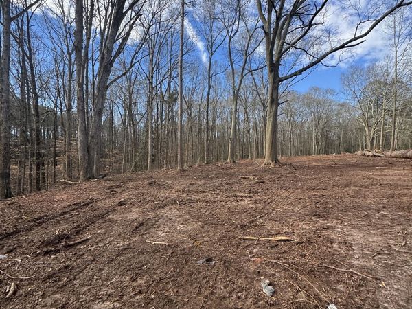 231 Roosevelt Circle, Bowman, GA 30624