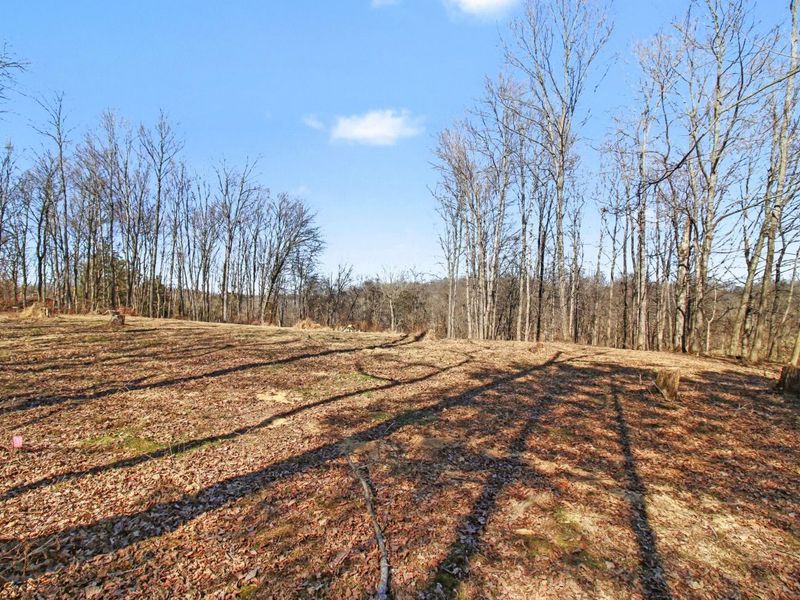 3827 Pruett Road, Covington, KY 41015 Photo 5