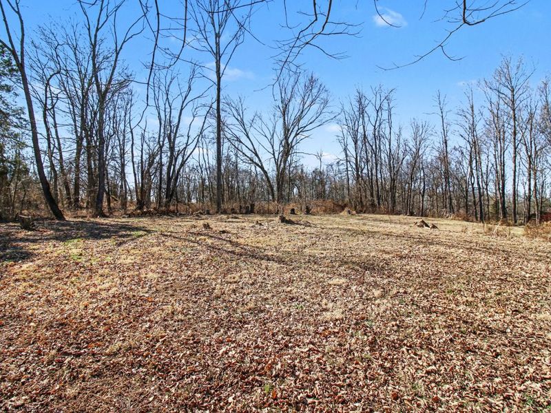 3827 Pruett Road, Covington, KY 41015 Photo 6