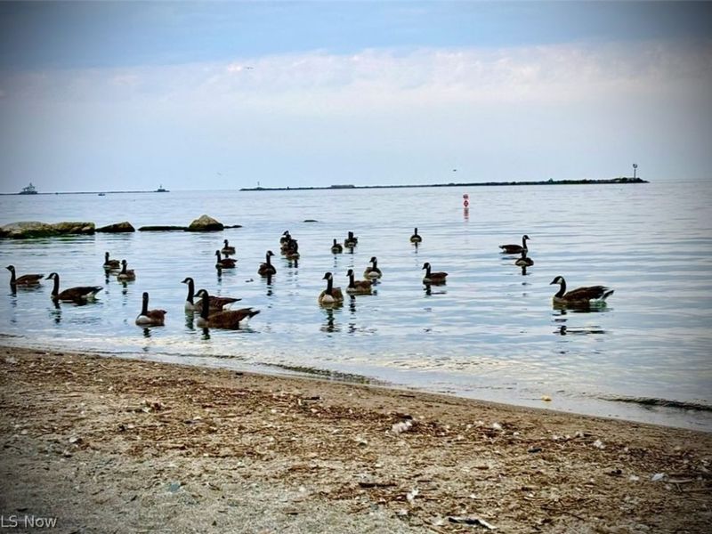 136 Minnesota Avenue, Ashtabula, OH 44004 Photo 40