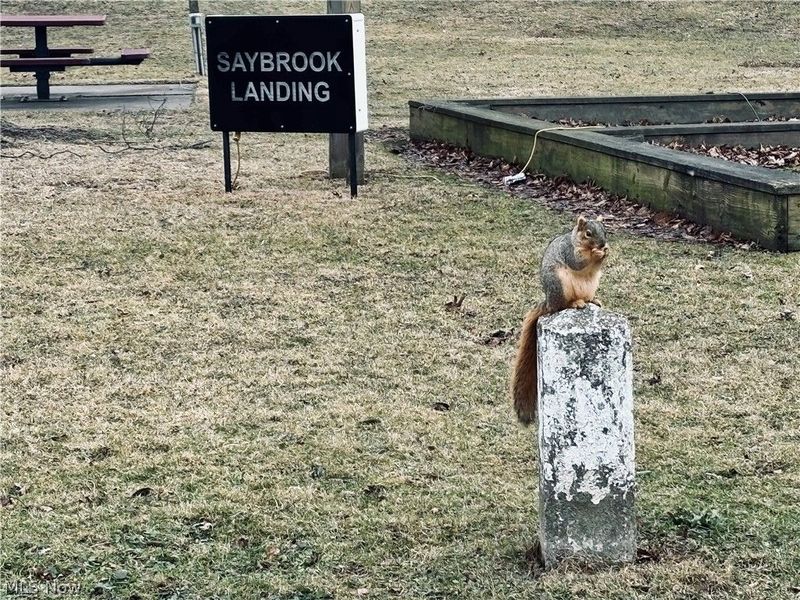 136 Minnesota Avenue, Ashtabula, OH 44004 Photo 41