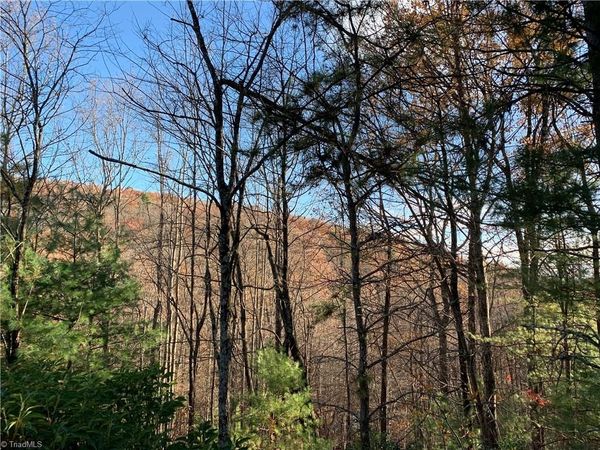 TBD (Lot 1) Dugger Firetower Road , Lenoir, NC 28645
