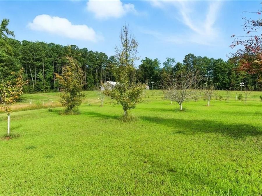 Property Image 69