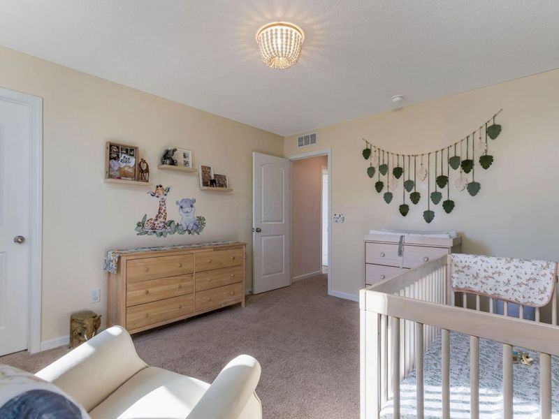 582 Zoar Street, Galena, OH 43021 Photo 32