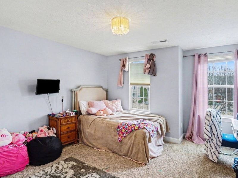 10129 Lapalco Court, Union, KY 41091 Photo 23