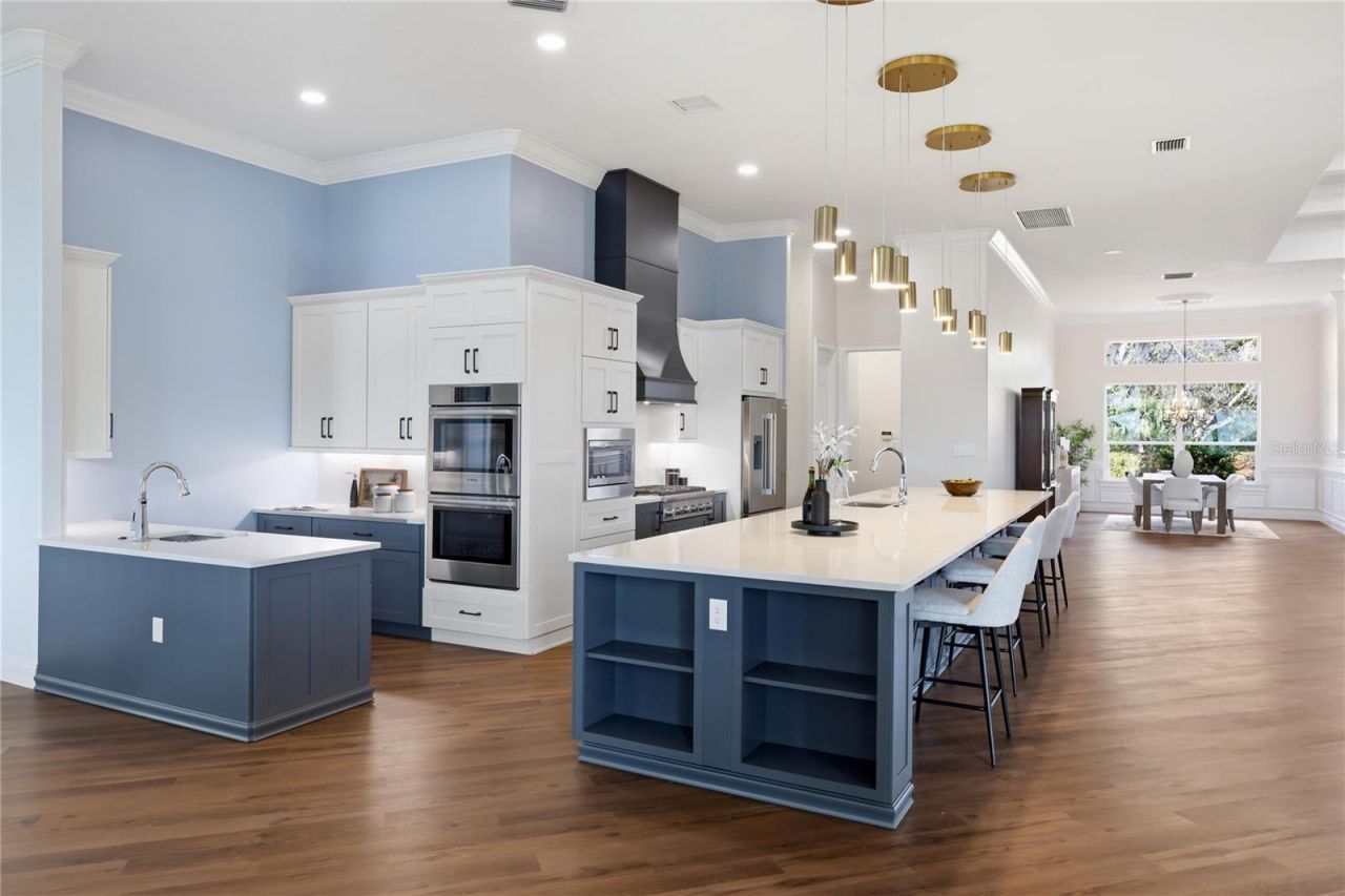 1359 Elysium Boulevard, Mount Dora, FL 32757 Photo