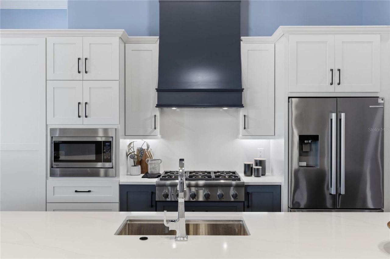 1359 Elysium Boulevard, Mount Dora, FL 32757 Photo