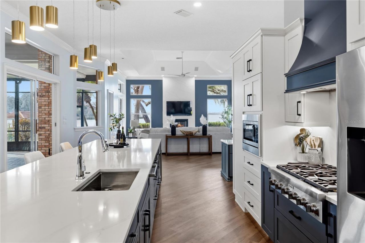 1359 Elysium Boulevard, Mount Dora, FL 32757 Photo