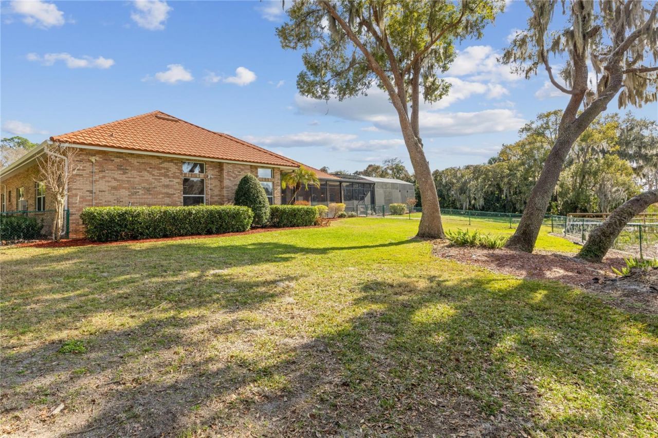 1359 Elysium Boulevard, Mount Dora, FL 32757 Photo