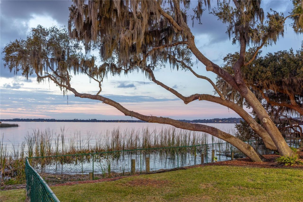 1359 Elysium Boulevard, Mount Dora, FL 32757 Photo