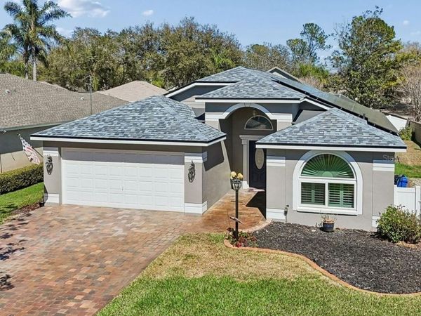 3301 BLACK GUM COURT , TAMPA, FL 33618