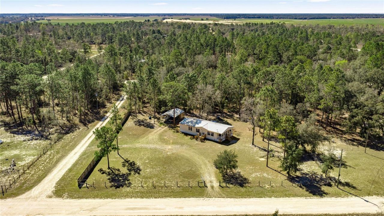 12150 NE 15 Street, Williston, FL 32696 Photo